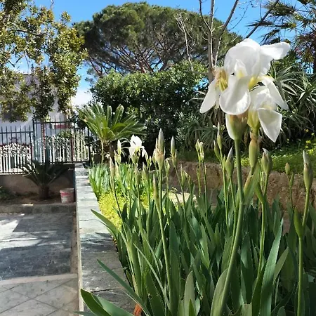 My Villa In The Pinewood Spotorno Extérieur photo